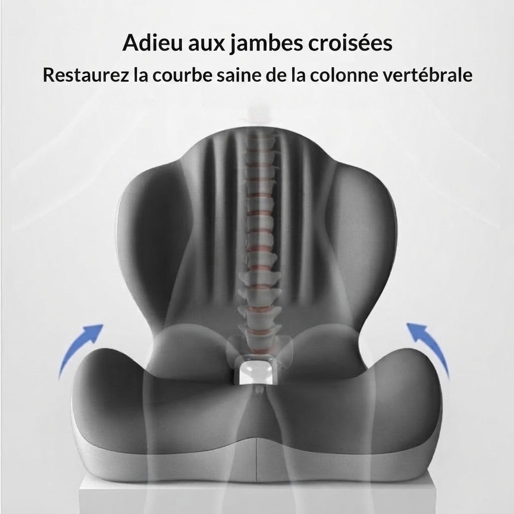 Coussin de Support Lombaire Ergonomique