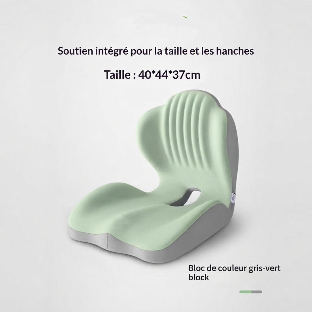 Coussin de Support Lombaire Ergonomique