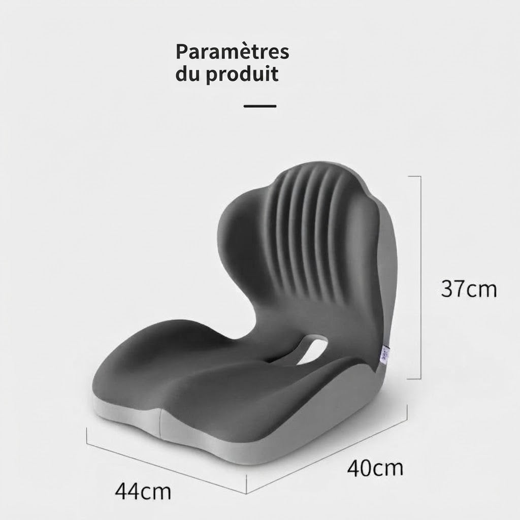 Coussin de Support Lombaire Ergonomique