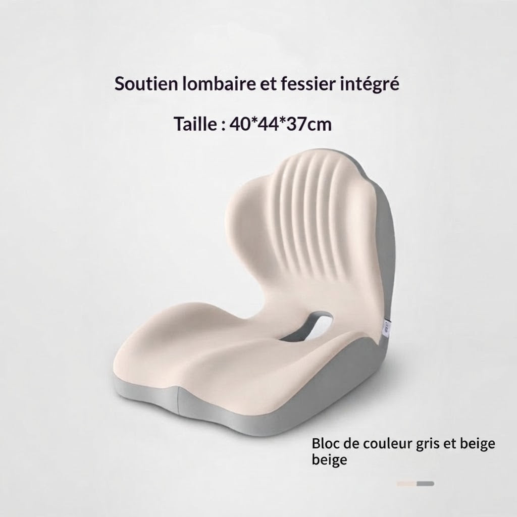 Coussin de Support Lombaire Ergonomique