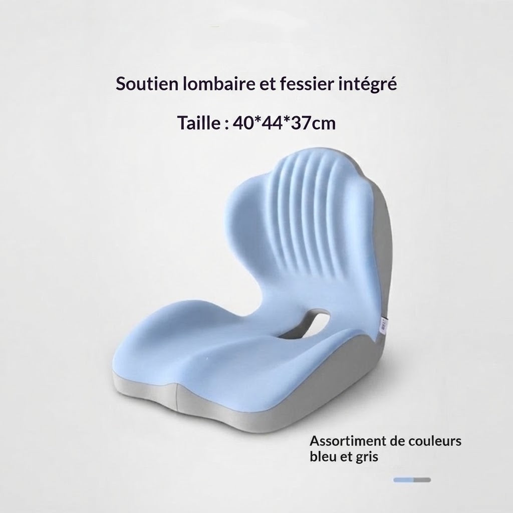 Coussin de Support Lombaire Ergonomique