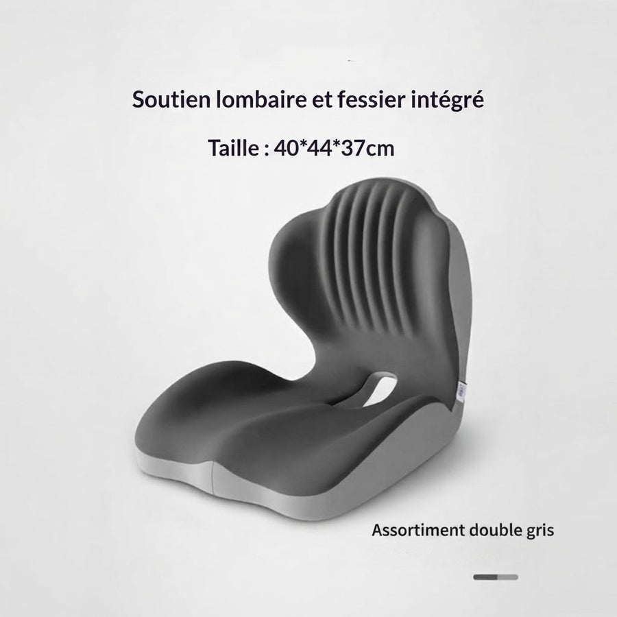 Coussin de Support Lombaire Ergonomique