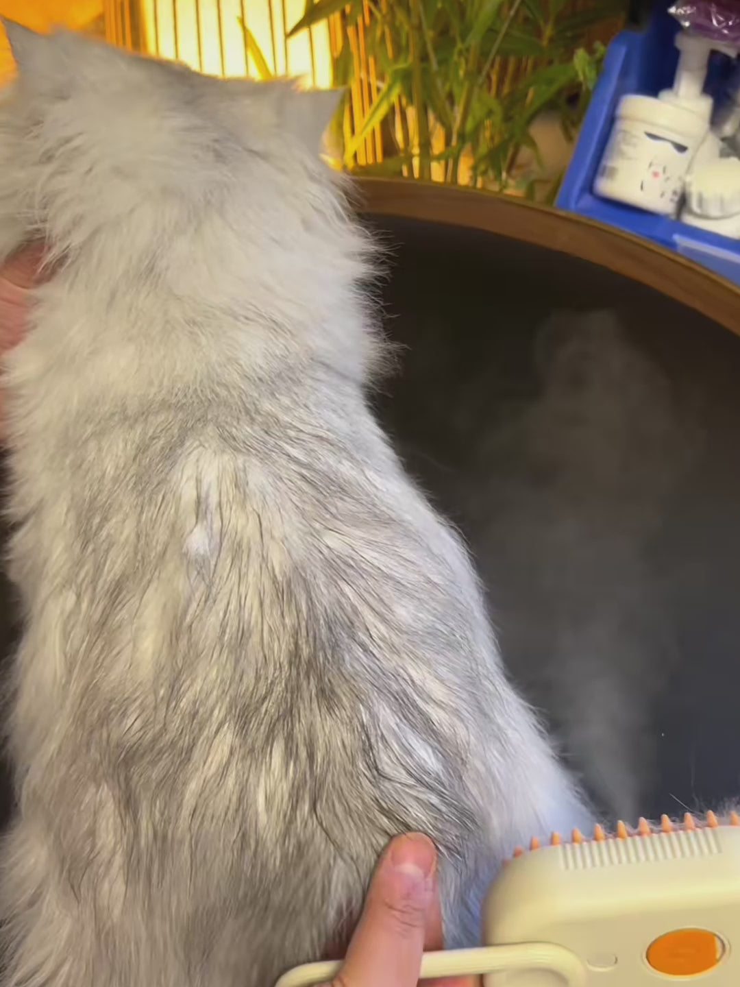 Brosse à Vapeur 3 en 1 pour Chat et Chien