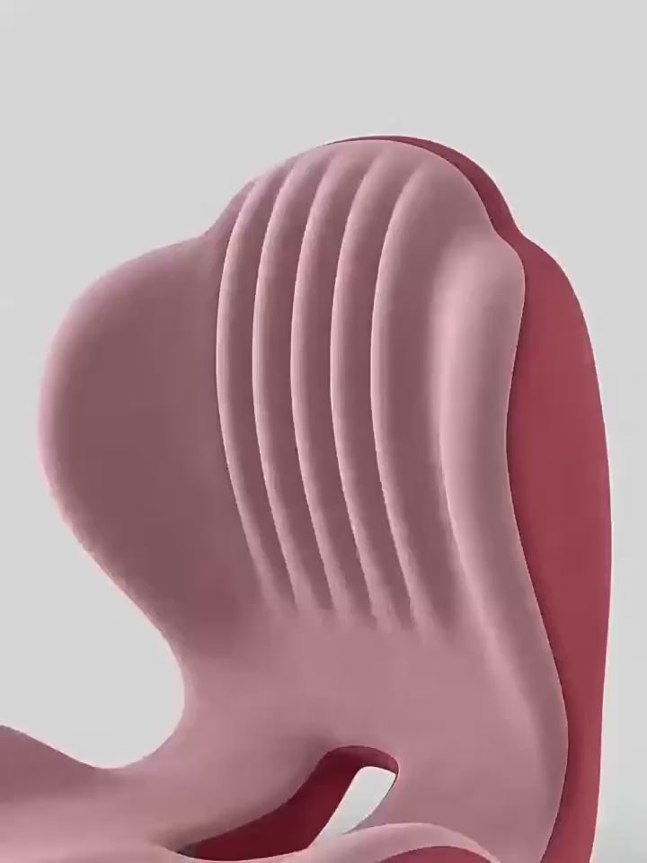 Coussin de Support Lombaire Ergonomique